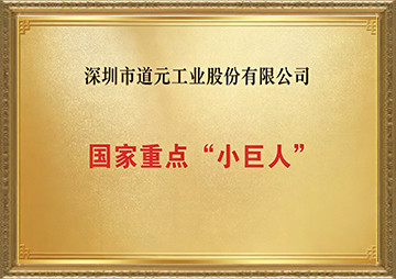 国家重点小巨人